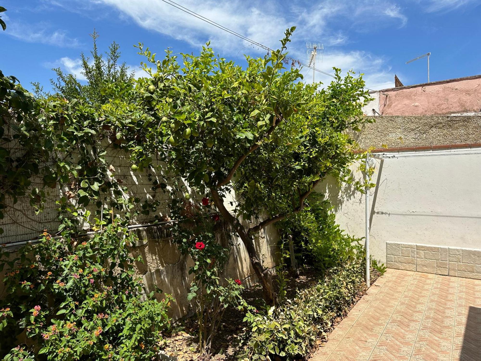 סן לאונה Villa San Leo מראה חיצוני תמונה